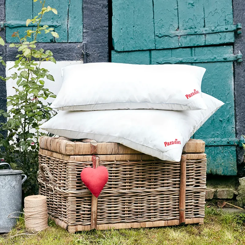 Sommerbetten-Set · Daunendecke + Daunenkissen