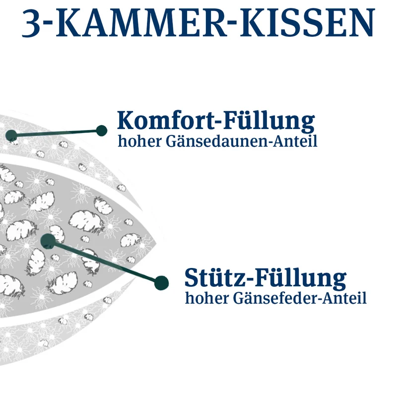 3-Kammer Daunenkissen · Abbie fest