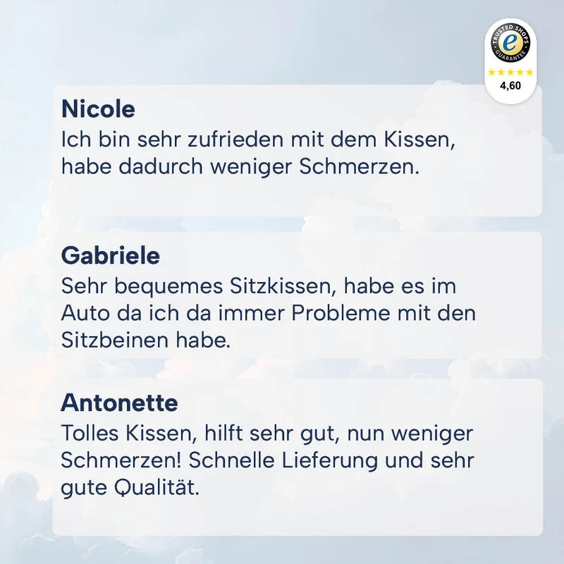 Orthopädisches Sitzkissen »RELIEF«