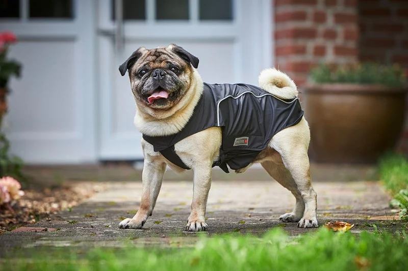 Wolters | Regenjacke Easy Rain für Mops&Co. schwarz/schwarz | Rückenlänge 46 cm 46 cm schwarz/schwar
