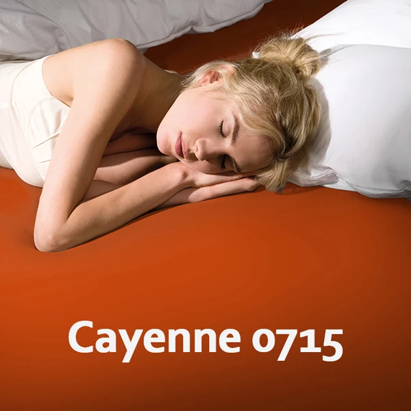 Formesse Bella Donna Jersey Spannbettlaken - Größe: 90 x 190 cm bis 100 x 220 cm