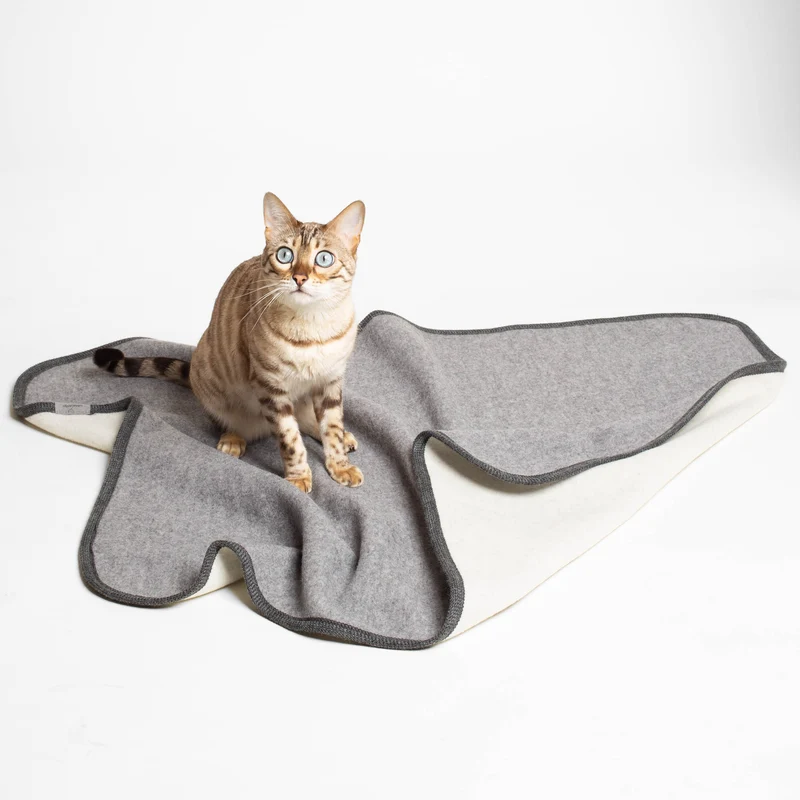 Katzendecke | 100% Schurwolle
