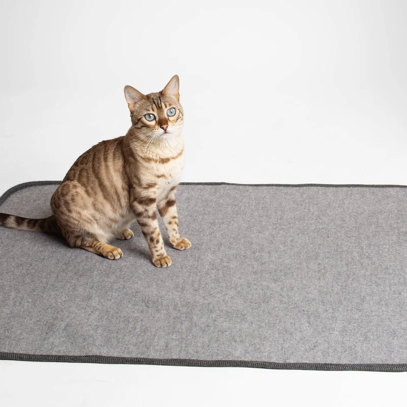 Katzendecke | 100% Schurwolle