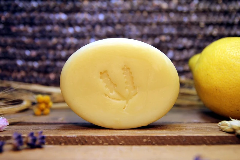 Bio Haarseife Citrus - Für trockenes Haar
