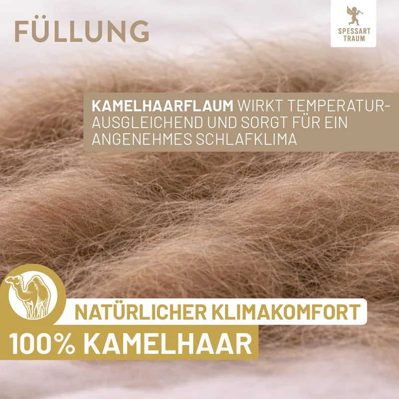 Kamelhaarbettdecke Gold, reiner feinster Kamelhaar Flaum (superentrgrannt) / 100 % Kamelhaar