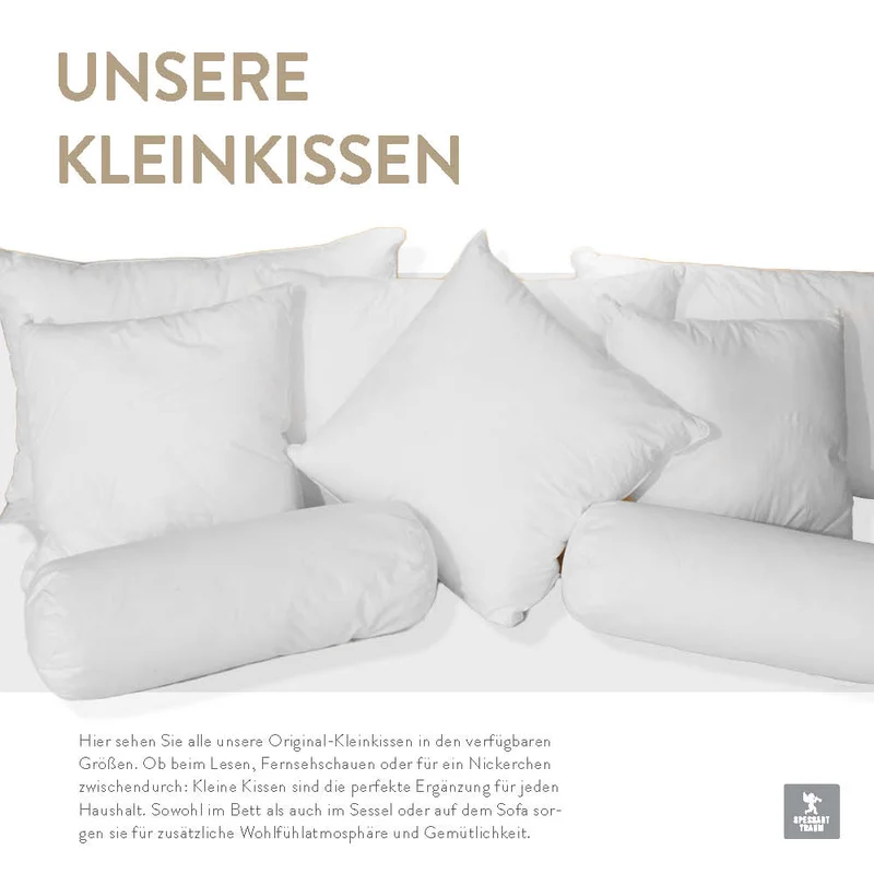 Federn- und Daunen Kleinkissen Lara, fedrige Daunen