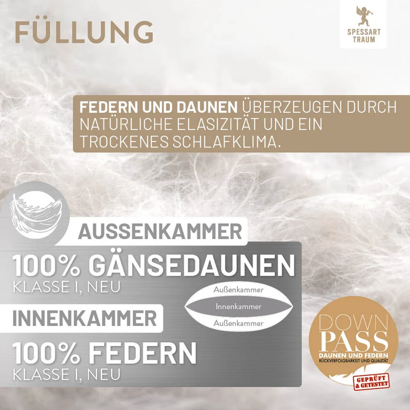 3-Kammer Gänsedaunenkissen Platin, 100 % Gänsedaunen (Außen)