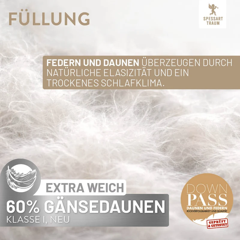 Gänsedaunenkissen Platin, 60 % Gänsedaunen / 40 % Gänsefedern