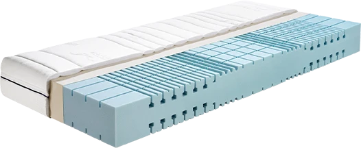 Werkmeister - MS 55 Flexo