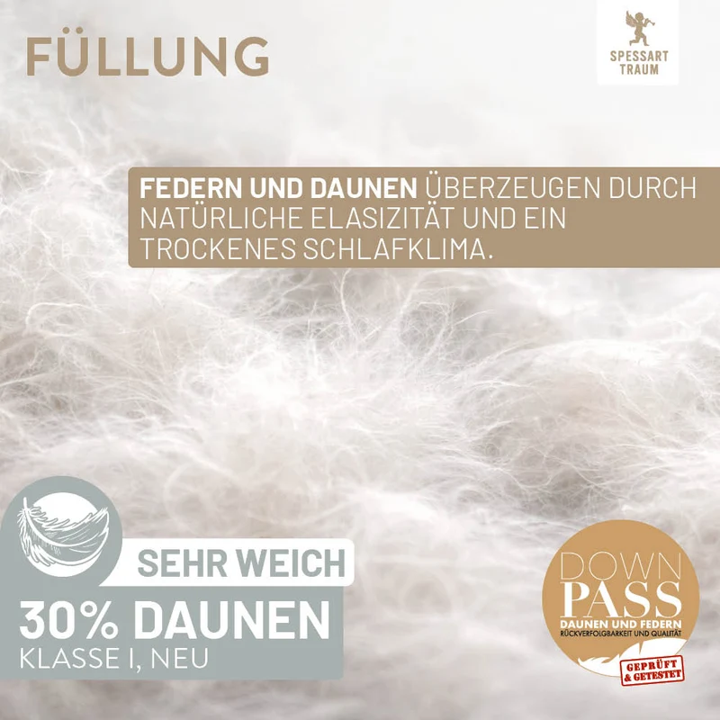Federn- und Daunenkissen Silber, 30 % Daunen / 70 % Federn