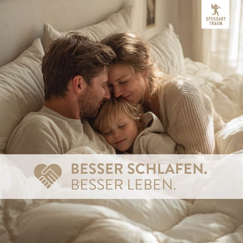 Federn- und Daunenkissen Silber, 30 % Daunen / 70 % Federn