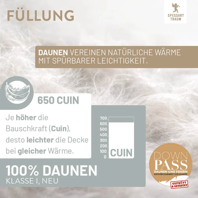 Daunenbettdecke Silber, 100 % Daunen