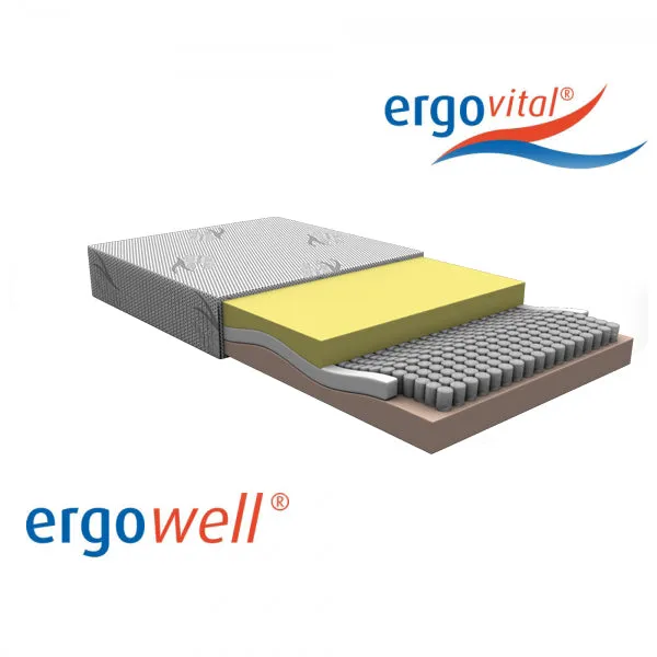 Federkern Matratze ergovital® ergowell®