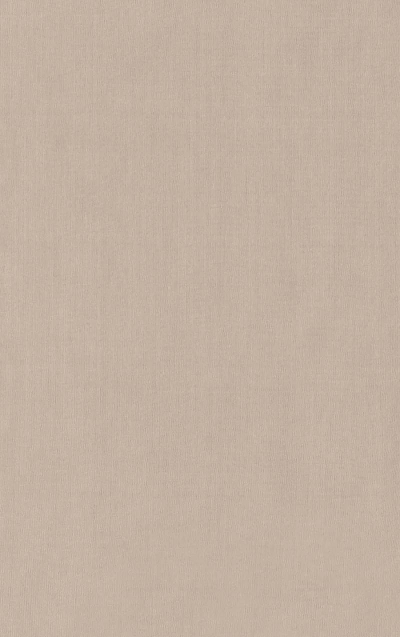 ADAM Schiebevorhang 245x60 cm Sichtschutz