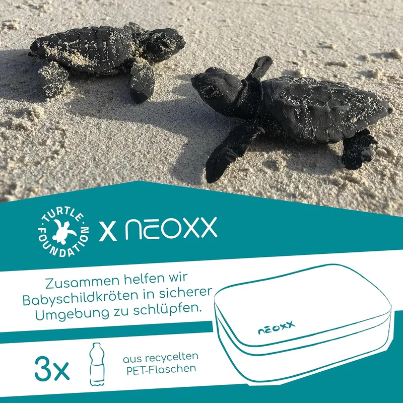 neoxx - Schlamperbox Dunk Next Level – Platz für EIN Geodreieck – Stifte Flap mit 26 Stifteschlaufen