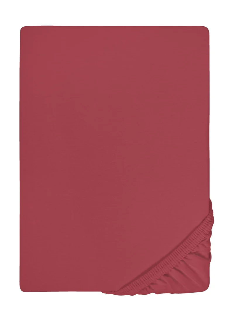 biberna Feinjersey Spannbetttuch (0077144)