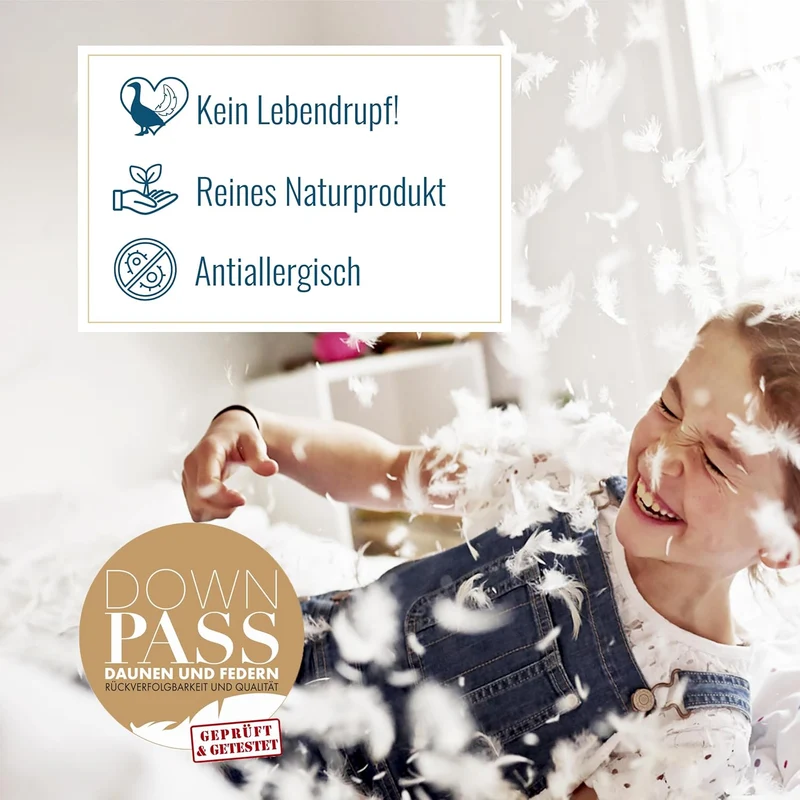 dormabell premium Gänsedaunen Nackenstützkissen Kopfkissen 40x80