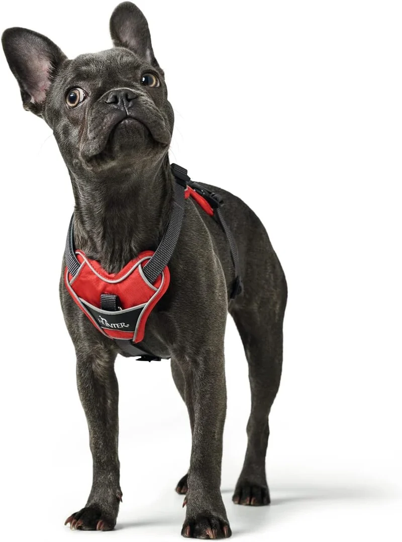HUNTER DIVO Hundegeschirr, S, 45-56 cm, rot/grau 45 - 56 cm rot/grau, 45 - 56 cm rot/grau