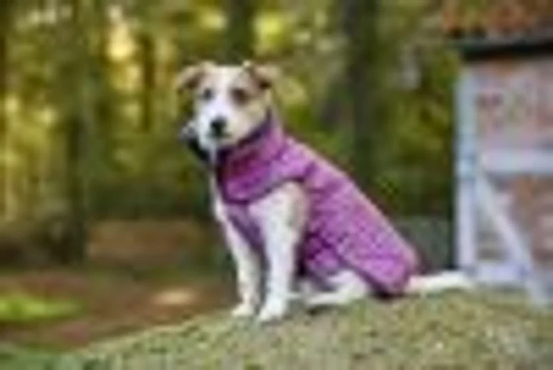 Wolters Winterjacke Amundsen | Wintermantel für Hunde – warm, wasserdicht | Farbe Himbeer | Gr. 40 (