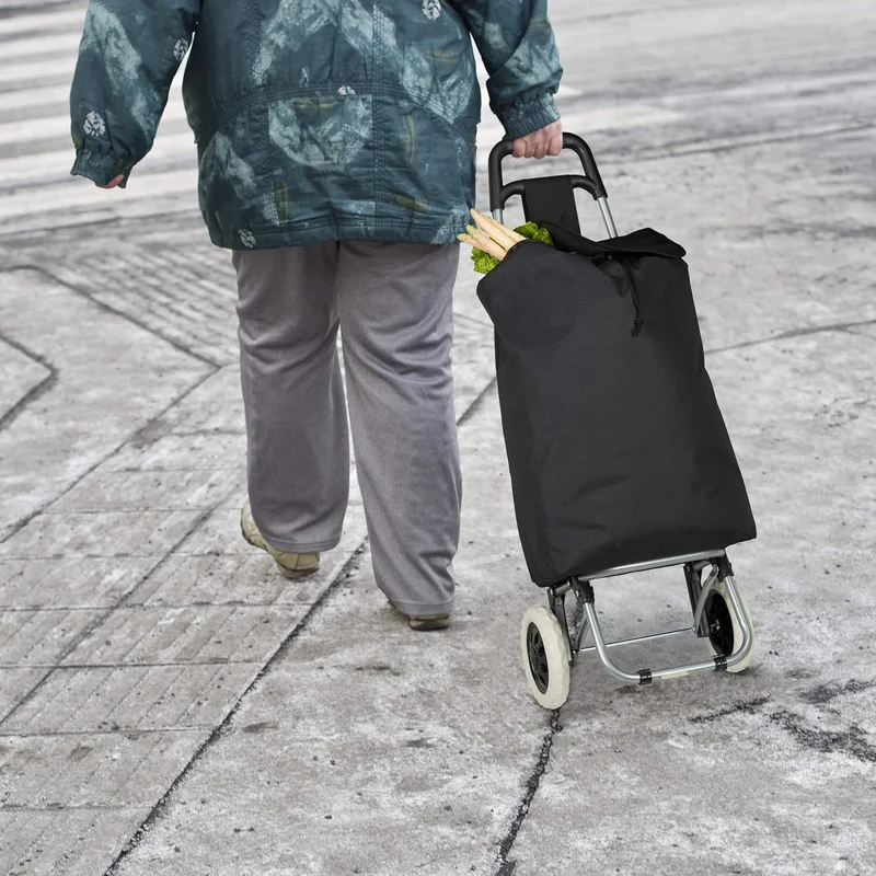 Relaxdays Einkaufstrolley, klappbar, 25 L Einkaufstasche mit Rollen, bis 10 kg belastbar, HBT: 91 x