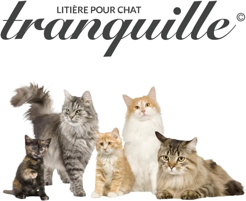 TRANQUILLE - Klumpende Katzenstreu mit Aktivkohle und Bicarbonat, 2 x 6,5 kg – Optimale Geruchskontr