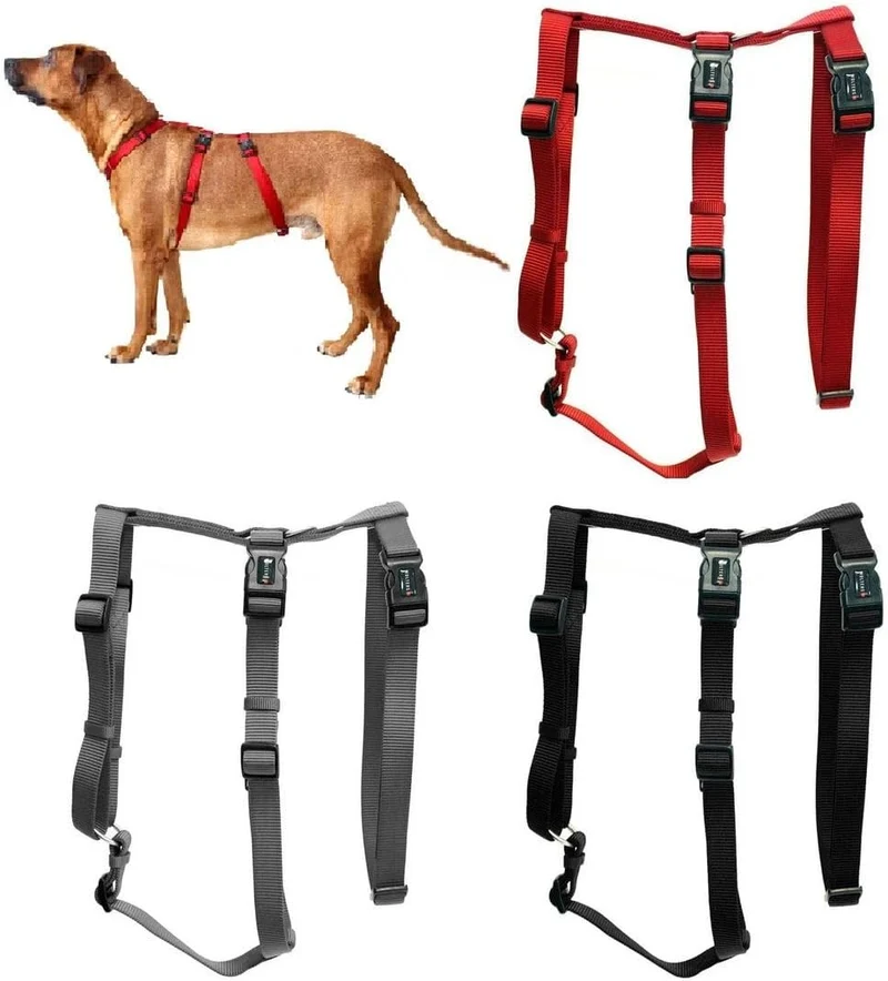 Wolters Geschirr Professional No Escape, Grösse:S 30-40 cm, Farbe:rot S 30-40 cm rot, S 30-40 cm rot
