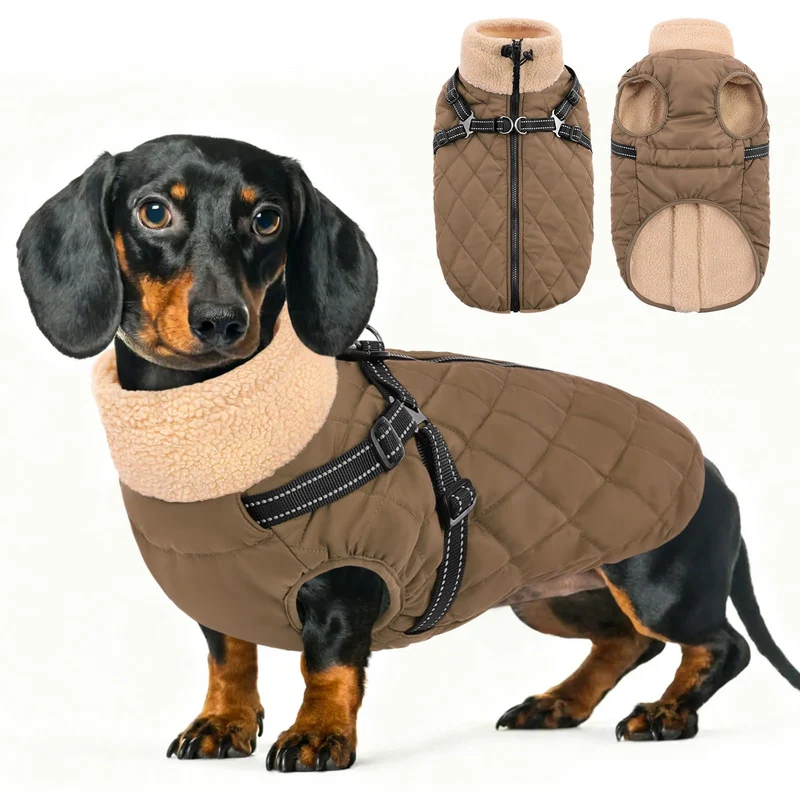 Queenmore Hundemantel Winter Hundejacke Kleine Hunde mit Geschirr S Braun, S Braun