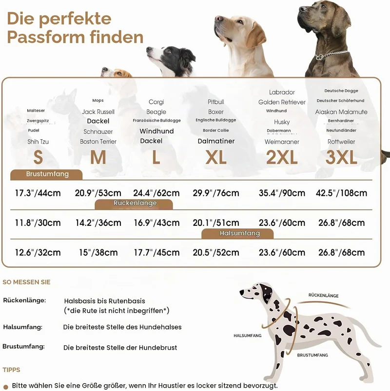 Queenmore Hundemantel Winter Hundejacke Kleine Hunde mit Geschirr S Braun, S Braun