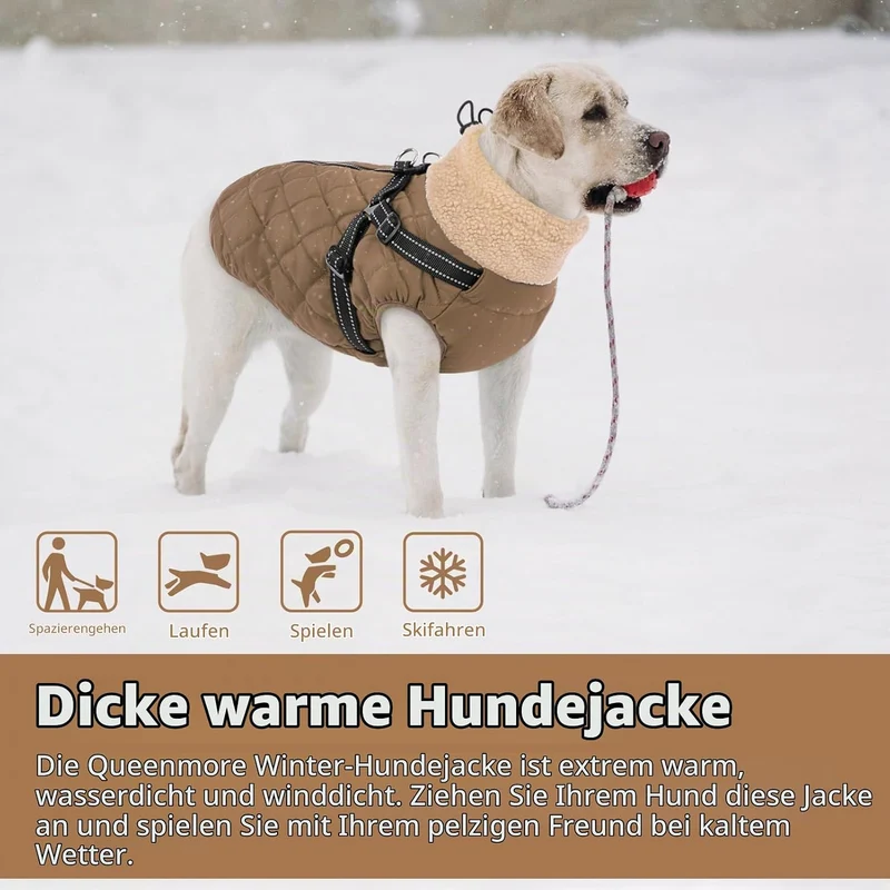 Queenmore Hundemantel Winter Hundejacke Kleine Hunde mit Geschirr S Braun, S Braun