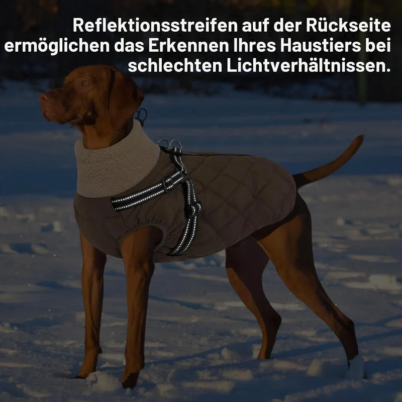 Queenmore Hundemantel Winter Hundejacke Kleine Hunde mit Geschirr S Braun, S Braun
