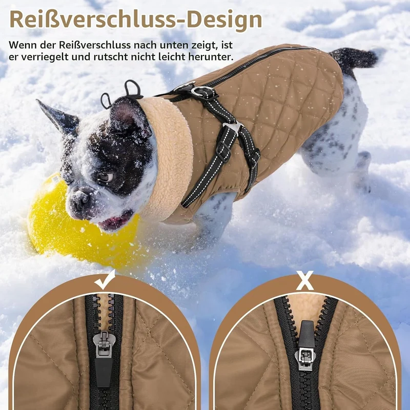 Queenmore Hundemantel Winter Hundejacke Kleine Hunde mit Geschirr S Braun, S Braun
