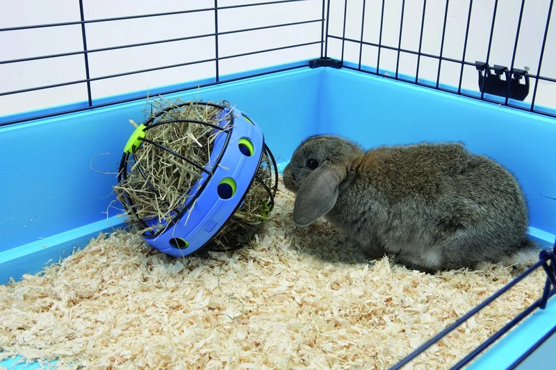 Savic Bunny Toy Mischung