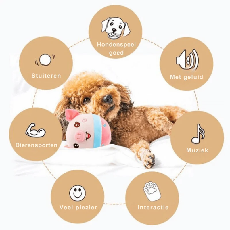 PAWNOVA – Bewegungsball Für Kluge & Aktive Hunde