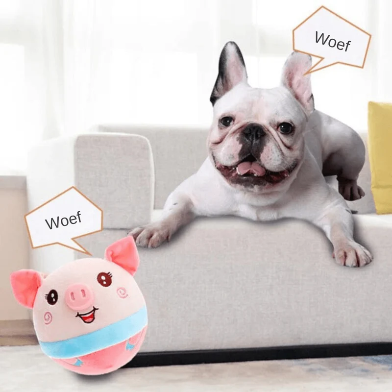 PAWNOVA – Bewegungsball Für Kluge & Aktive Hunde