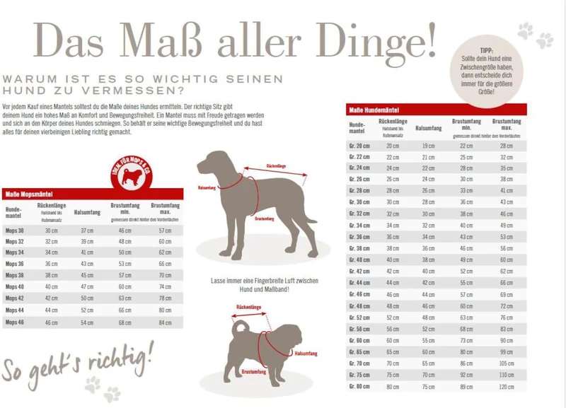 Wolters Wolters Skijacke Dogz-Wear | Wintermantel für Hunde | Farbe Dunkelblau | Grösse 60 (Rückenlä