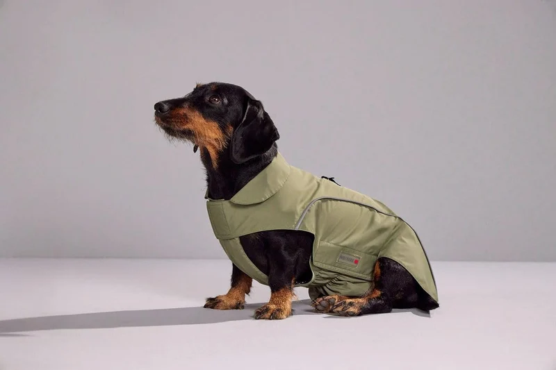 WOLTERS Regenjacke Easy Rain für Dackel 48 cm blau, 48 cm blau