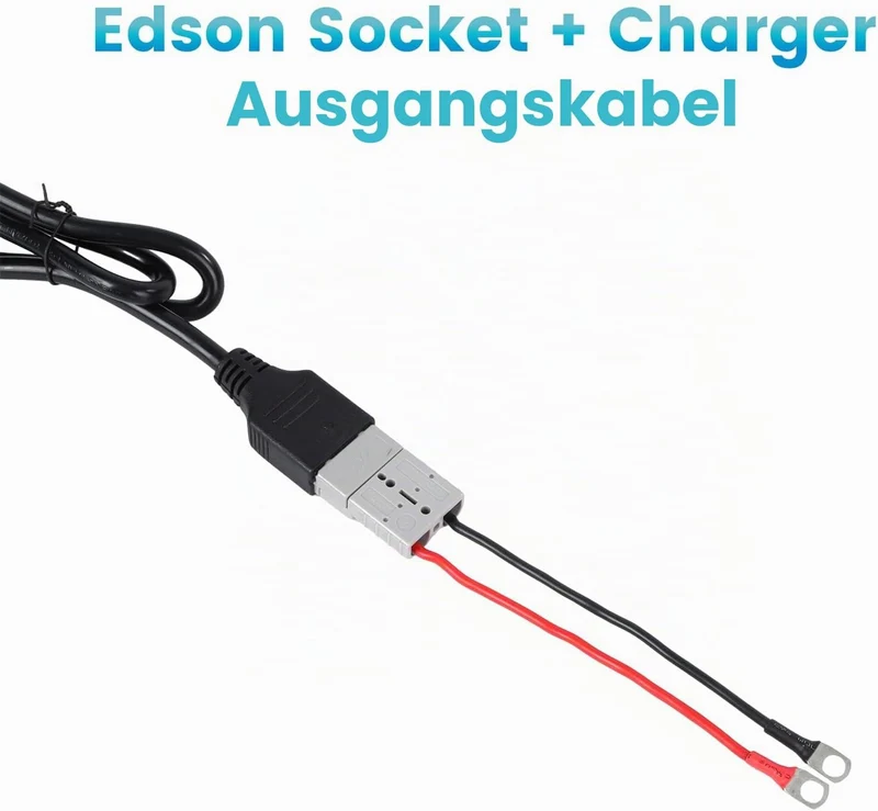 15 Amp Lithium-Batterie-Ladegerät 12V-88V verstellbares | LiFePO4 Lithium-Batterie-Ladegerät mit OLE