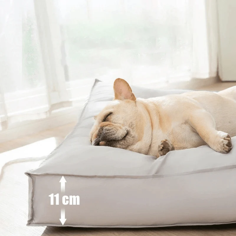 Pfotenkomfort – Orthopädisches Hundebett Waschbar Aus Gedächtnis-Schaum, Wasserdicht Und Kratzfest