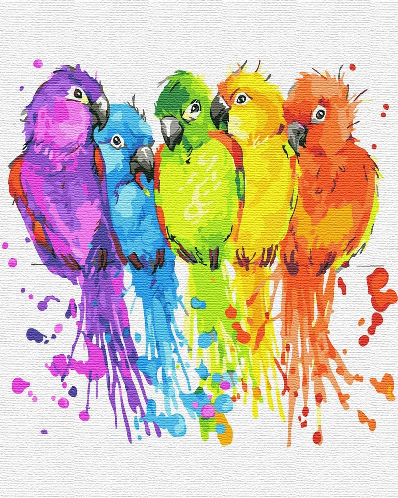 ARTNAPI Malen nach Zahlen Erwachsene mit Rahmen | DIY Handgemalt | Tiere - Bunte Sittiche | Kit für