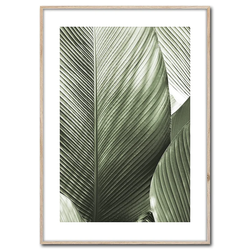Rahmenbild Macro | Artbox Wandbild | Bild mit Holz Rahmen Optik Framepic | Macroaufnahme Pflanze mit