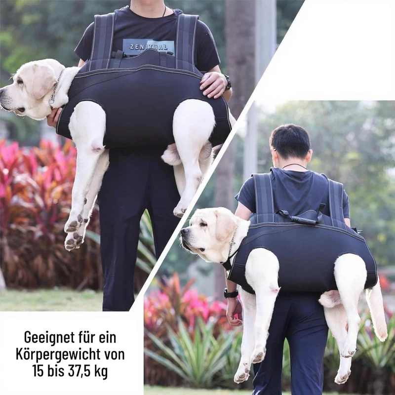 Hunde-Rucksack Front & Tragehilfe – Mobiles Tragesystem zum Vor- & Rückentragen,Geeignet für 15-37,5