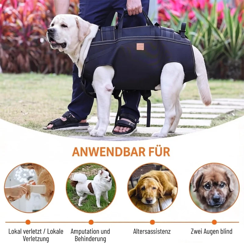 Hunde-Rucksack Front & Tragehilfe – Mobiles Tragesystem zum Vor- & Rückentragen,Geeignet für 15-37,5