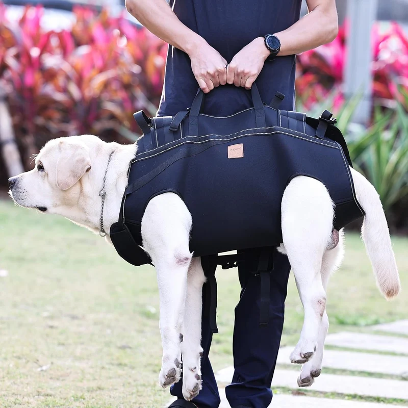 Hunde-Rucksack Front & Tragehilfe – Mobiles Tragesystem zum Vor- & Rückentragen,Geeignet für 15-37,5