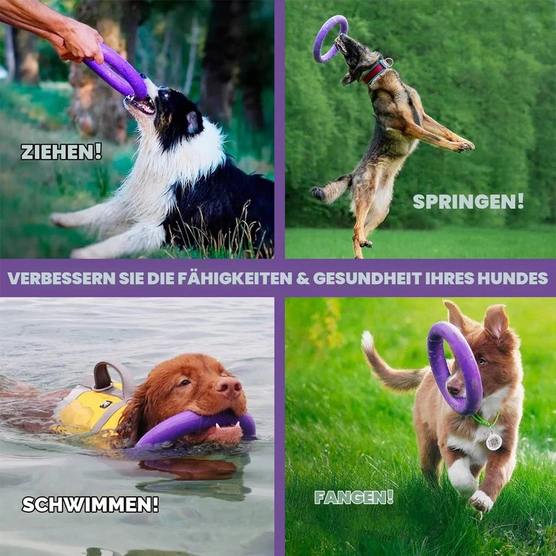 PULLER Midi Interaktives Hundespielzeug Fitness-Tool-Set 19.5 cm/8 in, 19.5 cm/8 in
