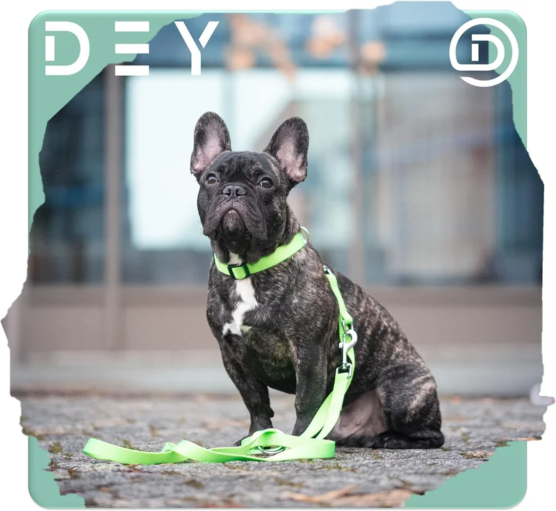 DEY - Premium Hundeleine Nylon 2m | 3fach Verstellbar | für Kleine, Mittelgrosse u. Grosse Hunde | v