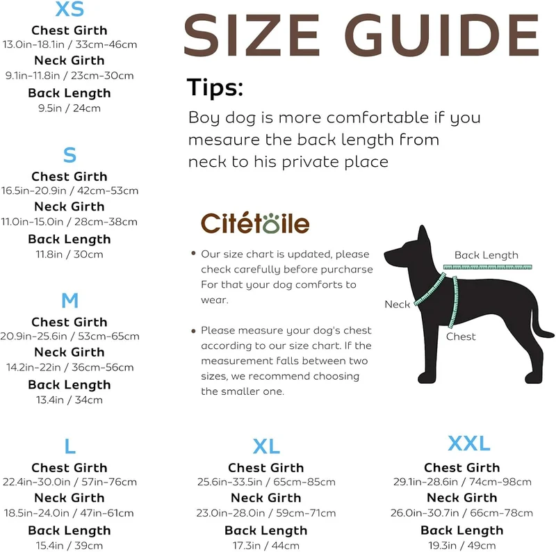CITÉTOILE Schwimmweste Hund Hai, Hundeschwimmweste & Dog Life Jacket Verstellbar mit Griff und Refle