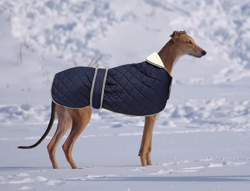 Geyecete - Windhund Warmer wintermantel, Hundemantel mit Dickes Steppfutter, verstellbaren Outdoor H
