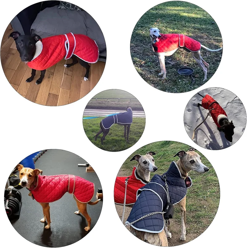 Geyecete - Windhund Warmer wintermantel, Hundemantel mit Dickes Steppfutter, verstellbaren Outdoor H
