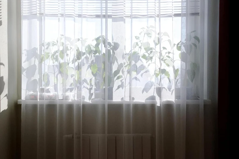 Weisse Voile, halbtransparente Vorhänge mit Kräuselband und Bleibandabschluss,Luftig, modern und lan