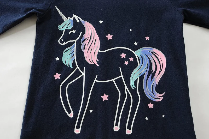 EULLA Kinder Mädchen Schlafanzüge Langarm Baumwolle Winter Pyjama Set Einhorn Prinzessin Dino Hase E